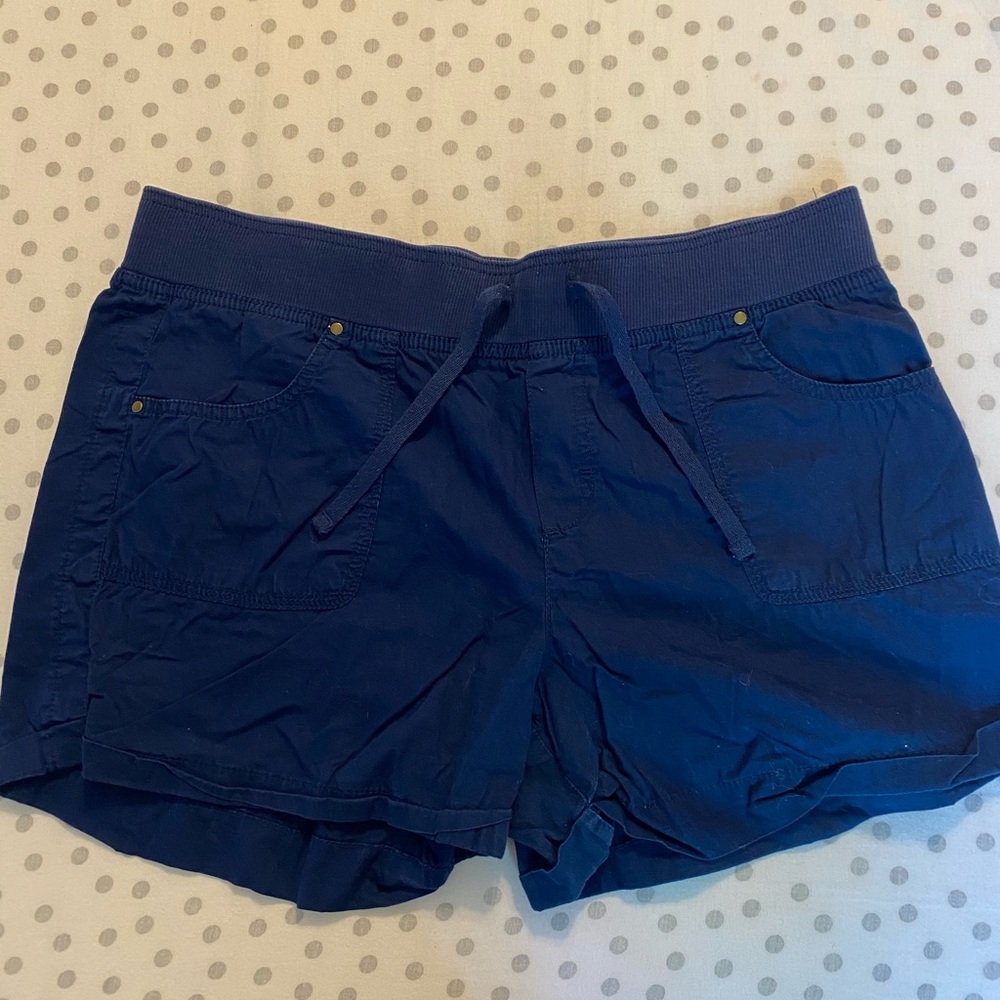 Arizona Navy Shorts
